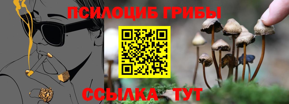 Галлюциногенные грибы GOLDEN TEACHER Орёл